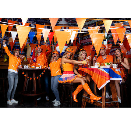 E-Carnavalskleding.nl Partybril Rave Holland