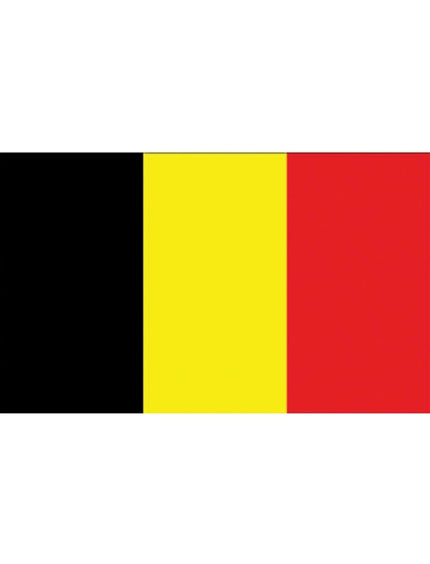 e-carnavalskleding-SYK Vlag België